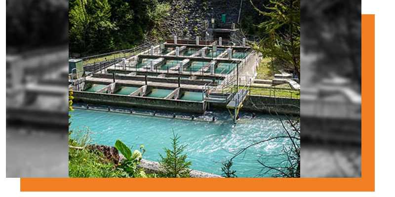 production-w production-w